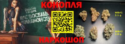 гидропоника Жуковский