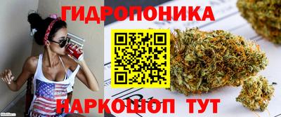 гидропоника Жуковский