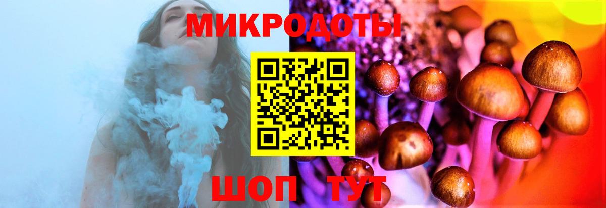 Псилоцибиновые грибы мухоморы Дедовск